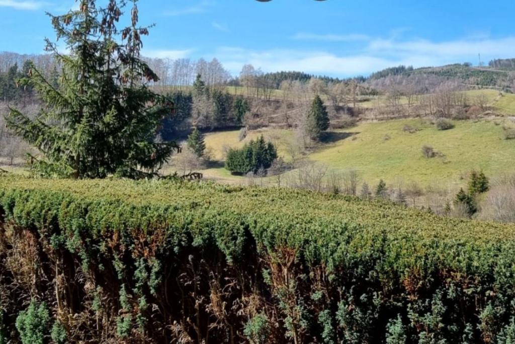 Ferienwohnung Aartalblick Willingen Willingen  Exteriör bild
